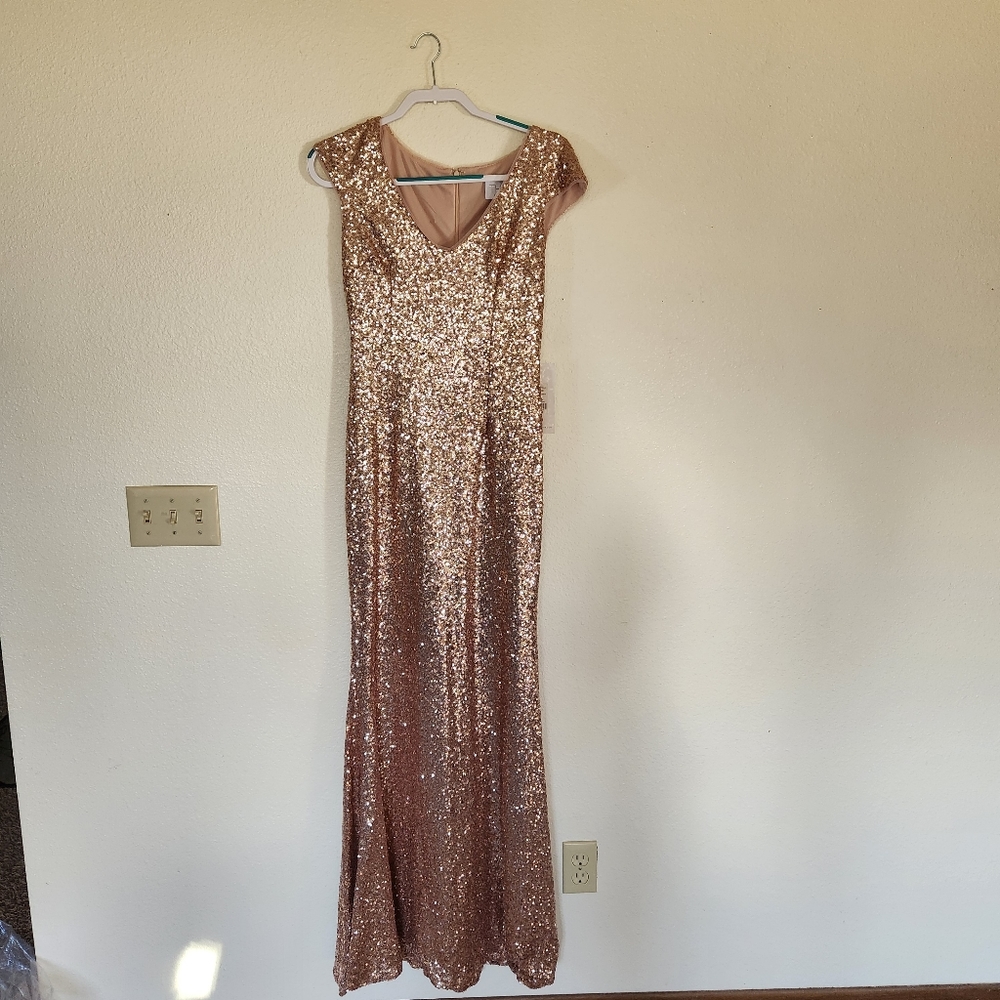 Nwt Theai gold  long Sequin  short sleeve Dress